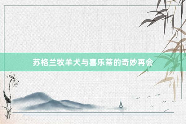 苏格兰牧羊犬与喜乐蒂的奇妙再会