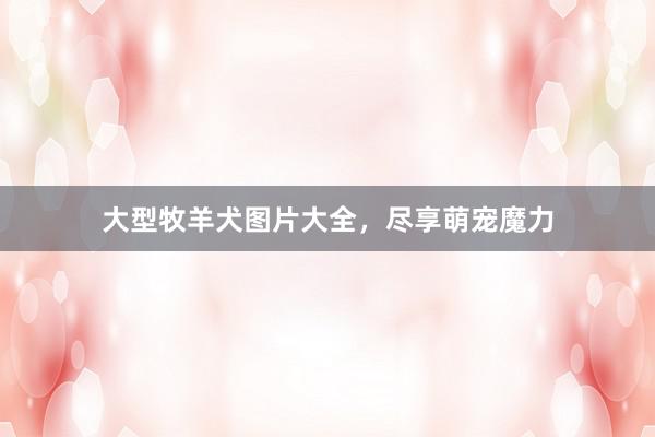 大型牧羊犬图片大全，尽享萌宠魔力
